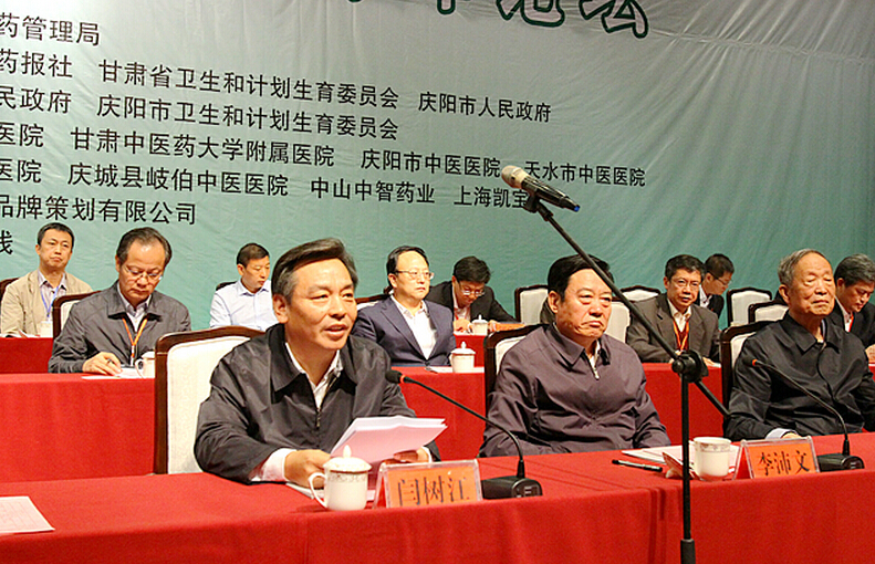 第六届中国中医药发展大会举行
