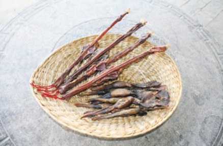 养肾药膳:黄豆焖狗鞭
