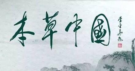 《本草中国》第二季探讨“本草缘何治病”