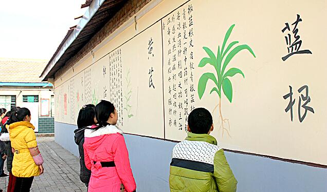 甘肃省庆阳市庆城县南庄九年制学校建起中药知识文化墙