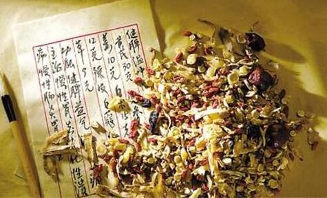辽宁鞍山：大力发展中医药健康产业