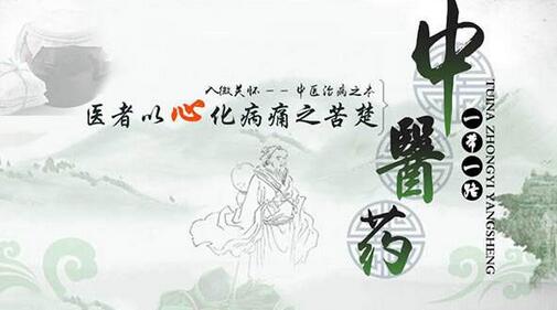 中医药文化进校园，播下传承的种子