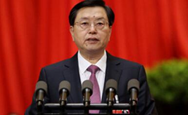 张德江：建立符合中医药特点的管理制度