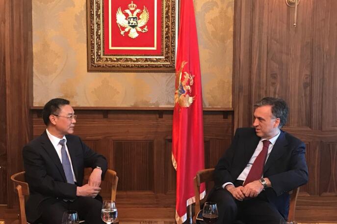 黑山共和国总统会见马建中副局长