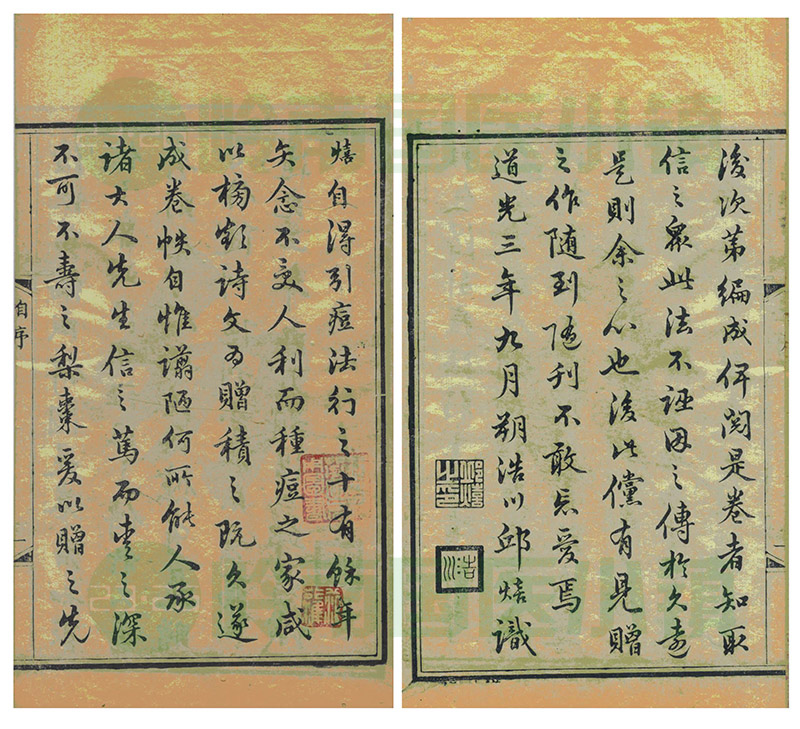 邱熺《引痘题咏》书影