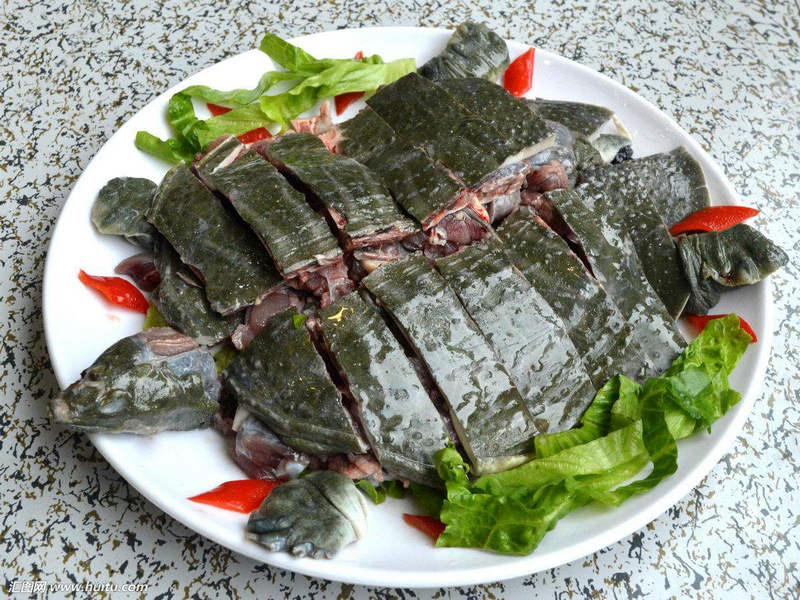 鳖肉