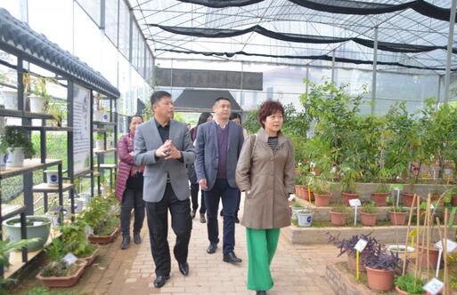 广州市旅游局规划发展处处长叶涛率队来我园考察调研