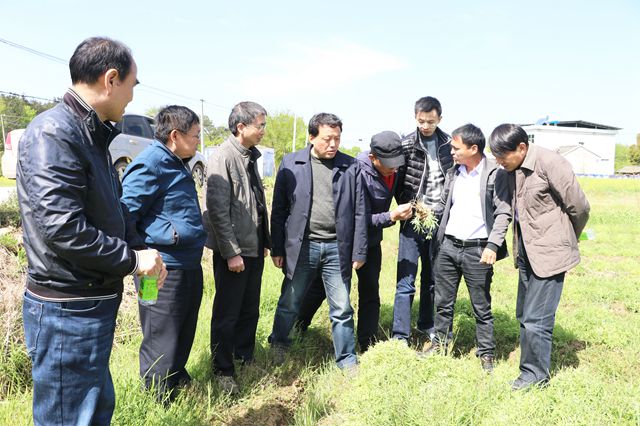安徽中医药大学的专家赴潜山县调研