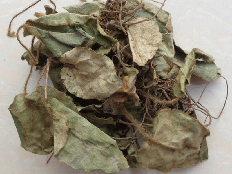 牛筋草 - 药材图谱 - 中华药典-岭南中药网