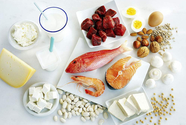 移动性蛋白质_动物蛋白性食物_犬猫蛋白丢失性肾病