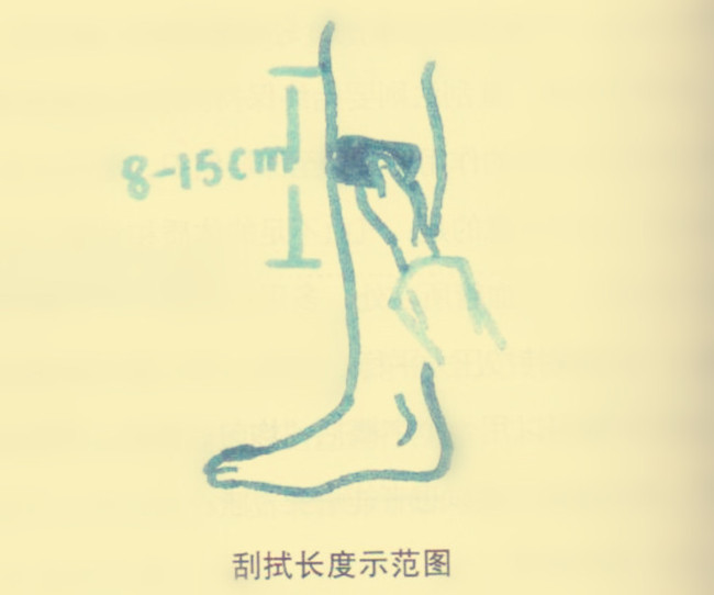 刮拭长度示范图