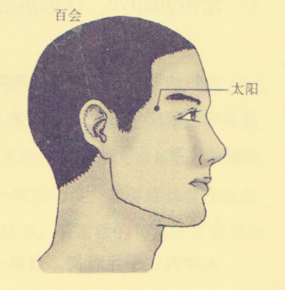 太阳穴