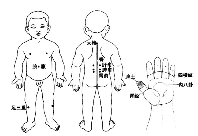 【操作方法】 (1)用拇指螺纹面旋推脾土400～600次.