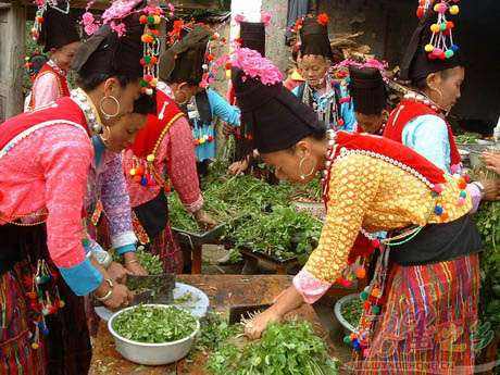 近代阿昌族医药