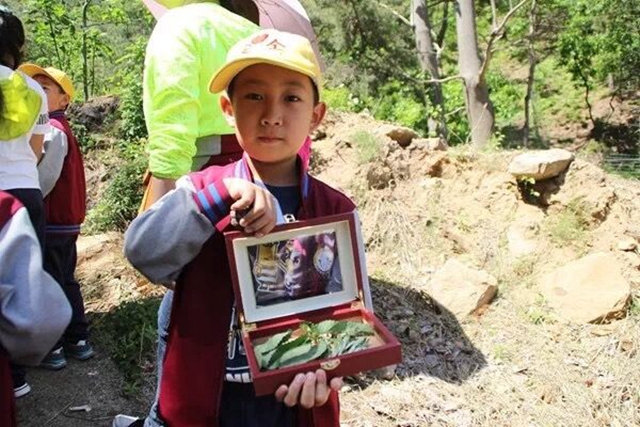 山东省威海市立医院的医生带着小学的孩子们识别中草药