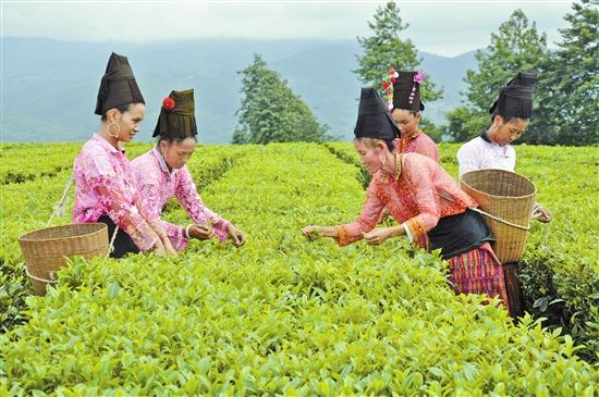 阿昌族民间医药常用医技医法传承方式