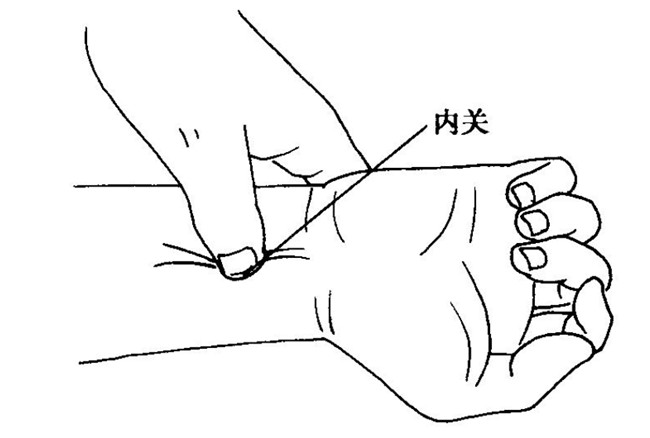 5～1分钟.功效:补脾和胃,调理气血 11,合按内关穴,外关