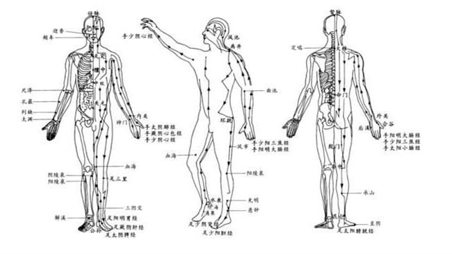 经络是人体经脉和络脉的总称