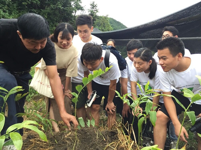湖北中医药大学药学院组织学生前往中药材种植基地进行暑期社会实践活动
