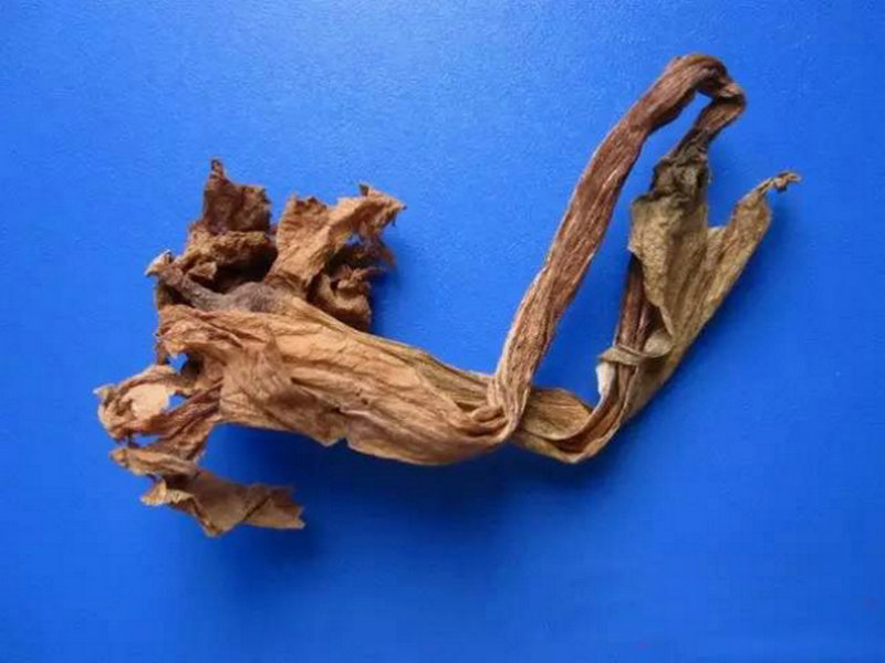 干漆- 药材图谱 - 中华药典-岭南中药网