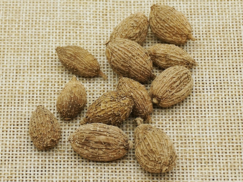 砂仁(中药材)
