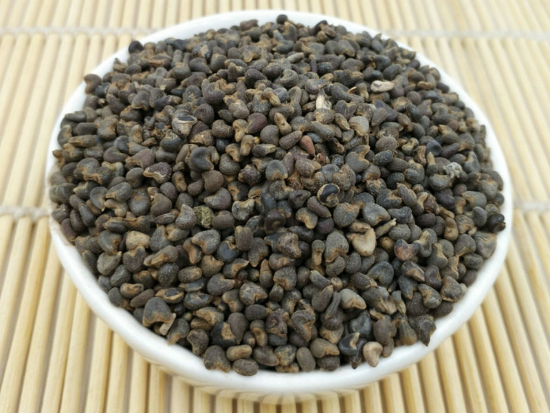 田螺- 药材图谱 - 中华药典-岭南中药网