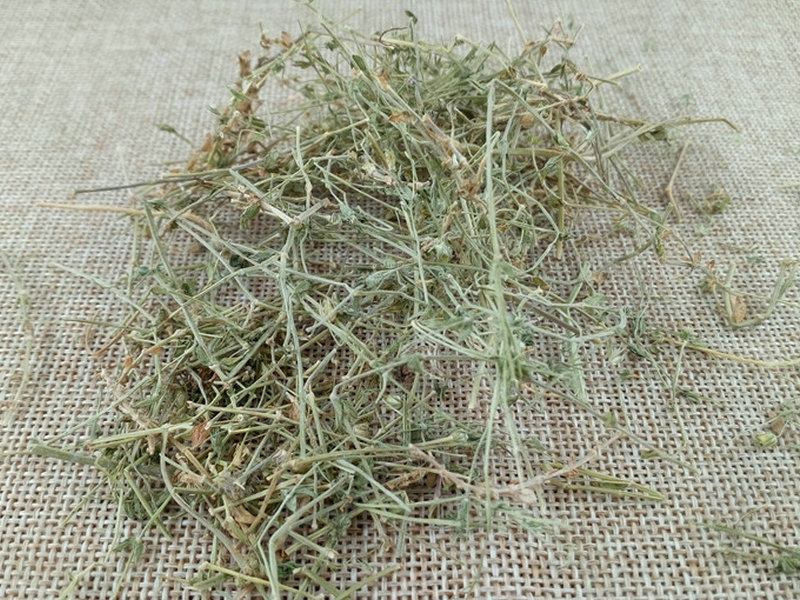 小米草