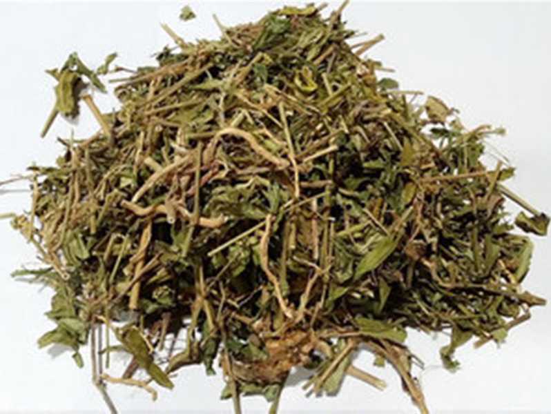 鱼胆草