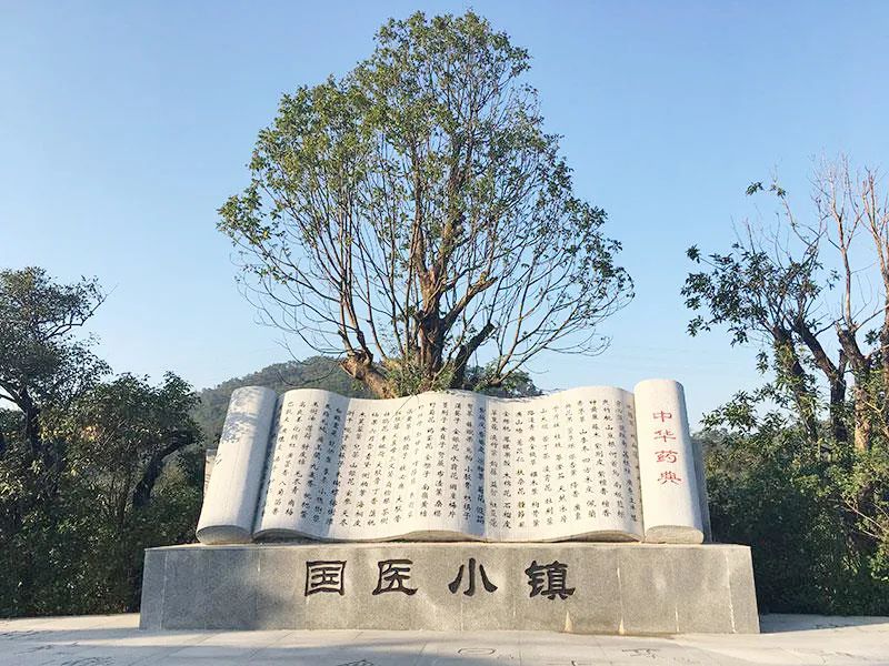 【防疫先锋科学营】争当抗疫小先锋，探寻神奇中医药