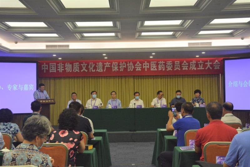 孙达出席中国非物质文化遗产保护协会、中医药协调委员会、中医药委员会成立大会并致辞