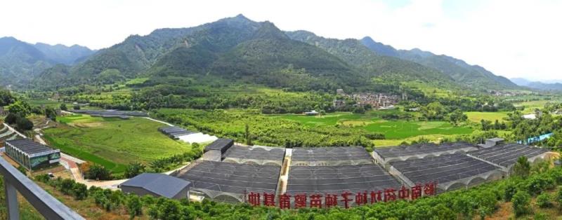 云浮市召开中医药大会：聚力实施“五个工程”，推动中医药高质量发展