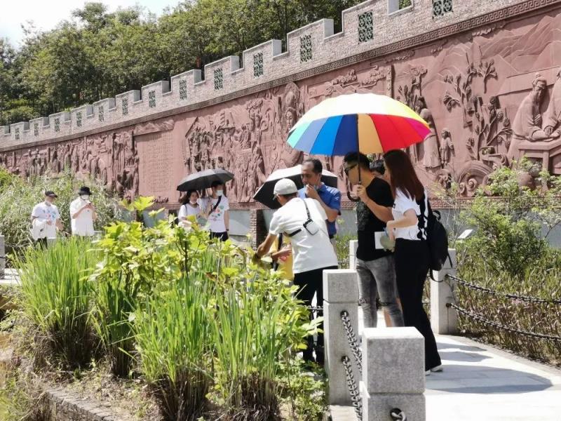 粤港澳青年之家一行20多人来我园参观学习