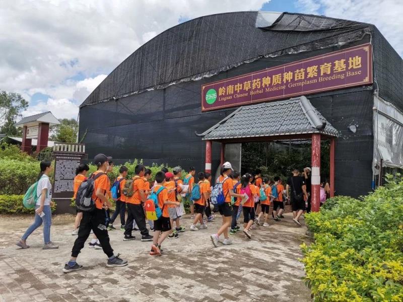 “草木有情，人间有爱”中医药主题活动