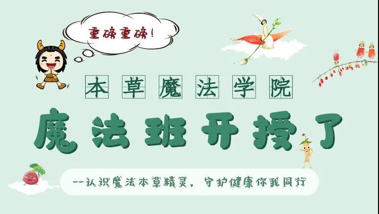 招募|重磅重磅！！！国医小镇本草魔法学院的魔法班开授了！