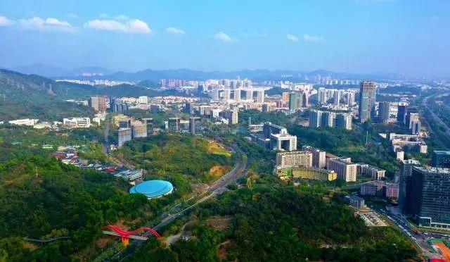 大湾区中医药科技创新联合研究院落户广州，张伯礼院士视频连线祝贺