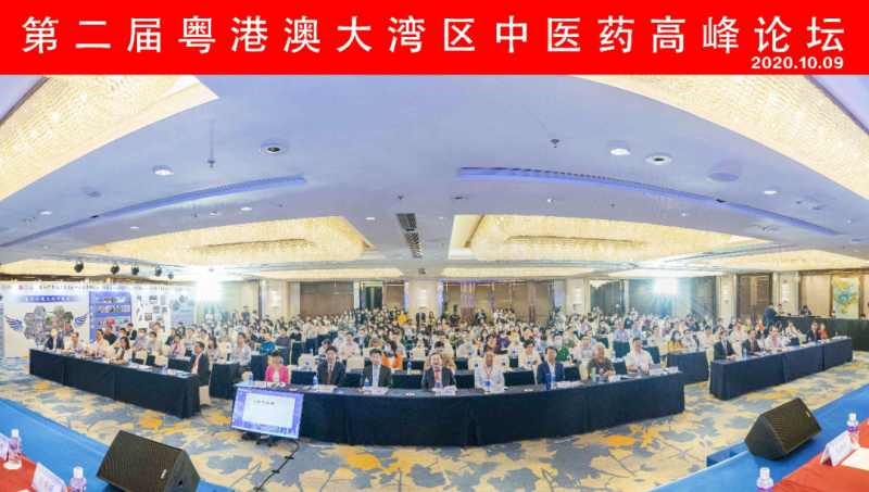 名家云集！大湾区中医药高峰论坛在深举行