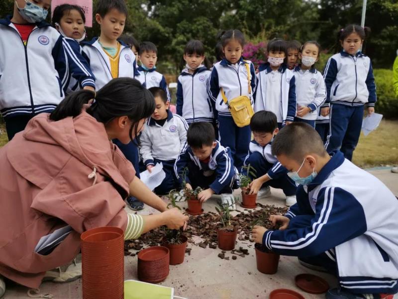 【国医小镇中医药研学活动】