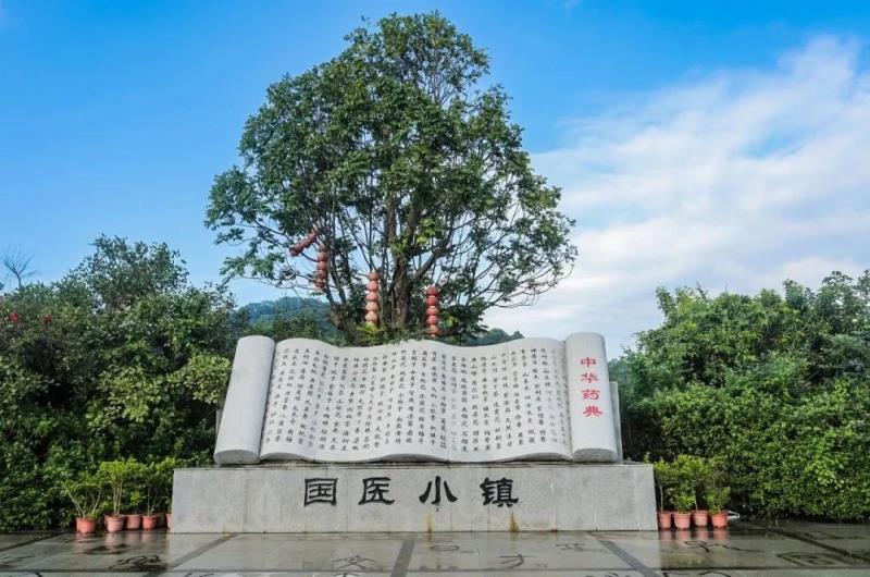 国医小镇2020年研学活动年度回顾