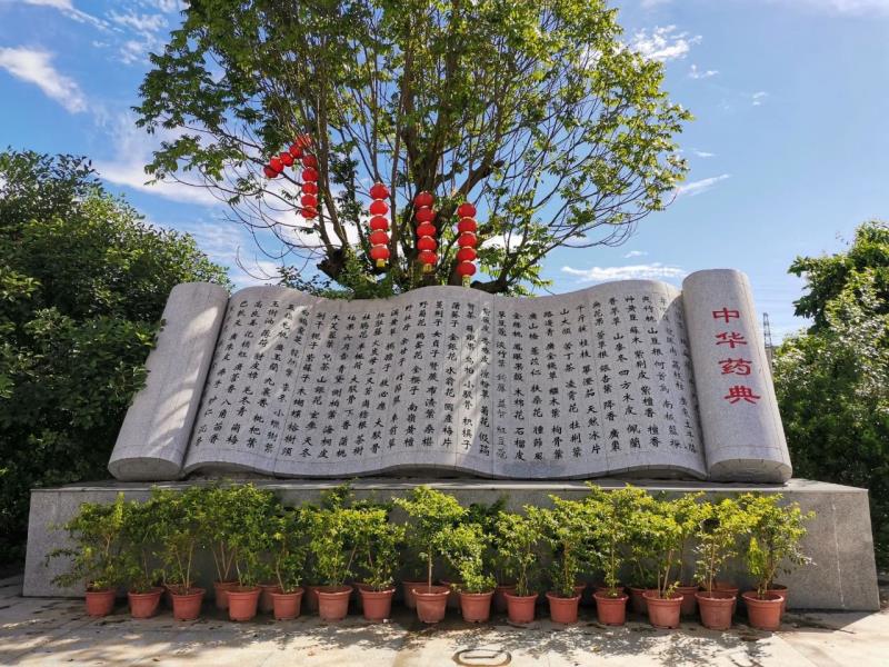 新年好去处！国医小镇——全球首个中医药文化世界吉尼斯记录景区！