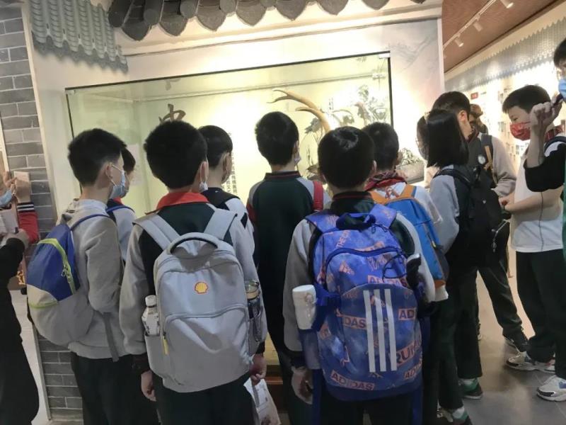 参观中医药文化博物馆