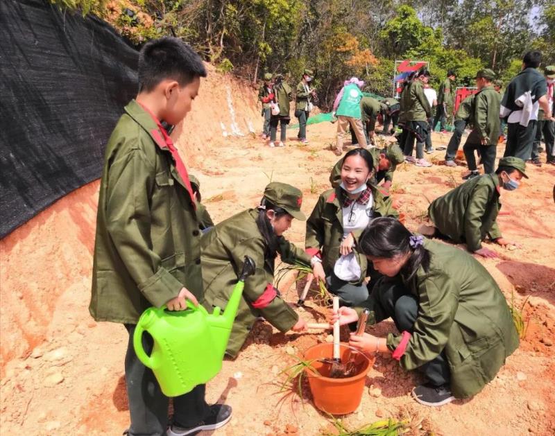 劳动实践：种植萱草