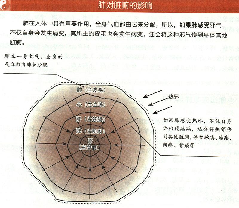 阴痿应怎样治疗？