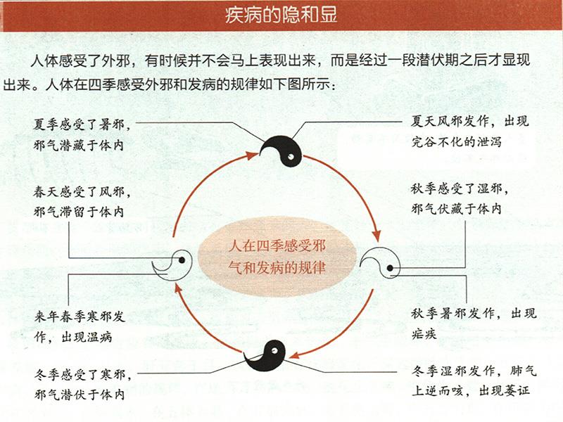 为什么要顺应四时阴阳来养生？