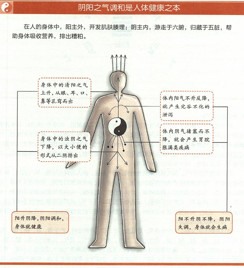 人为什么一定要阴阳调和才健康？