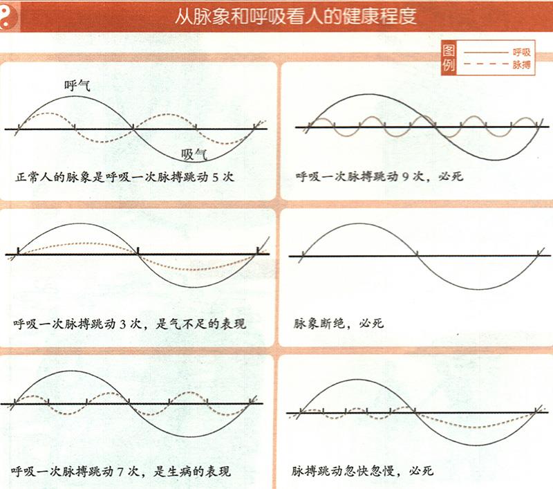 如何从脉象和呼吸推算健康？