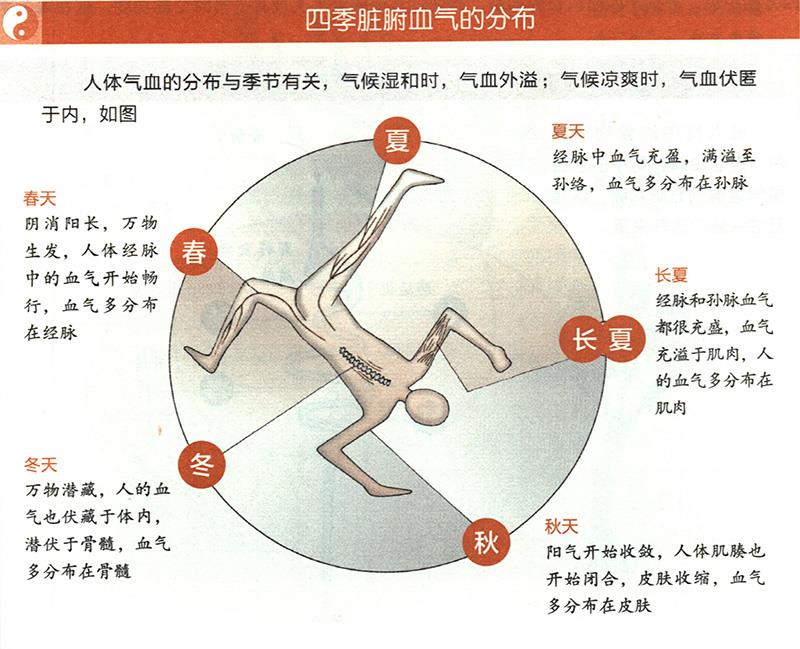 四季脏腑血气是怎样分布的？