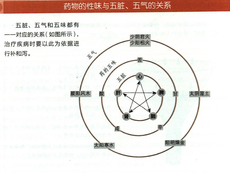 药物的性味与五脏、五气有什么关系？