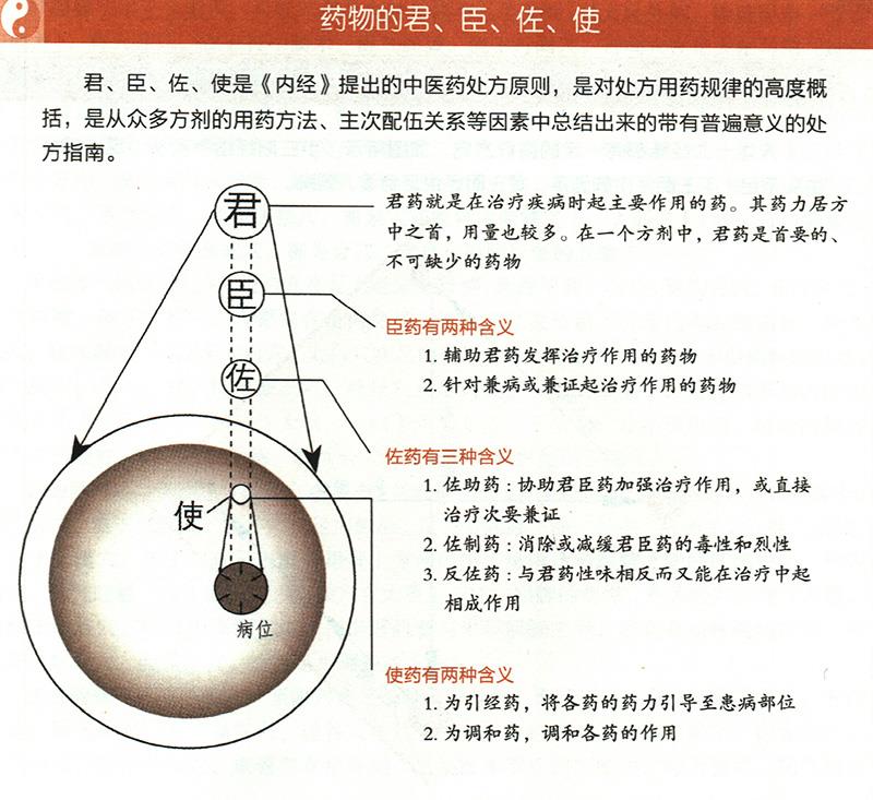 什么是药物的君臣佐使？