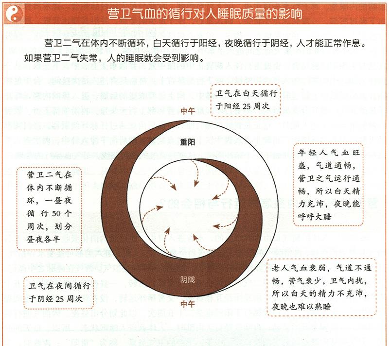 营卫二气在体内是怎样运行与相会的？