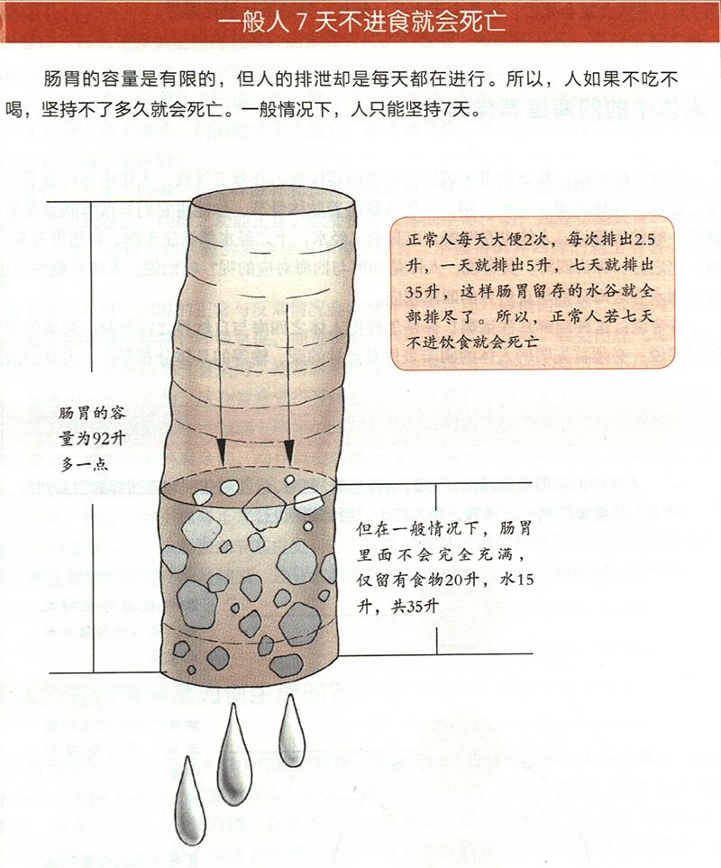 为什么7天不进食就会死亡？